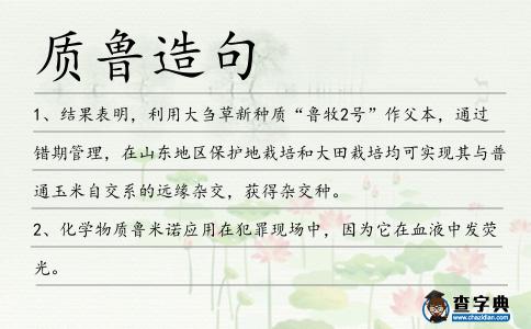質(zhì)魯造句