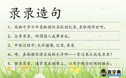 錄錄造句