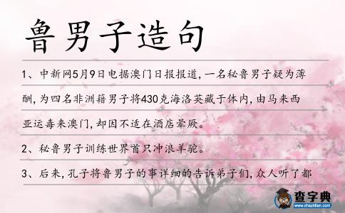 魯男子造句
