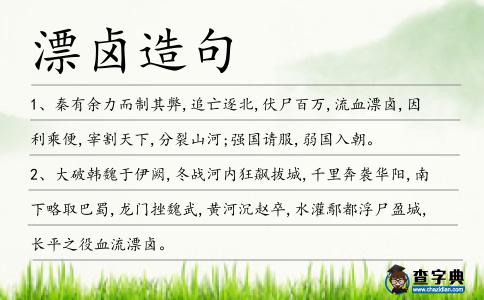 漂鹵造句