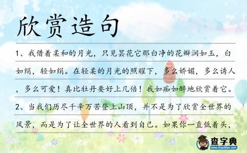 欣賞造句