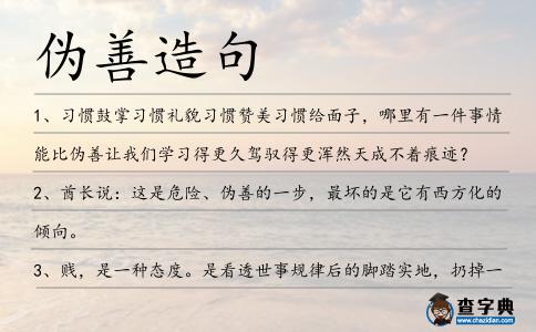 偽善造句
