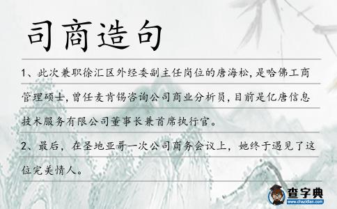 司商造句