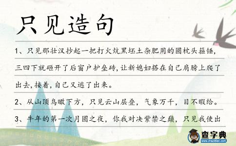 只見造句