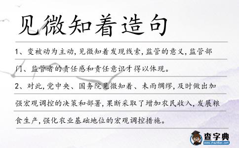 見微知著造句