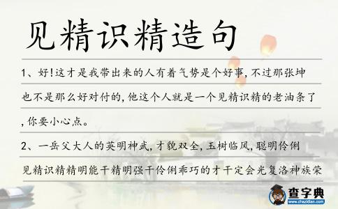 見精識精造句