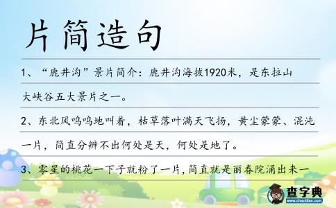 片簡造句