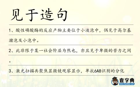 見于造句