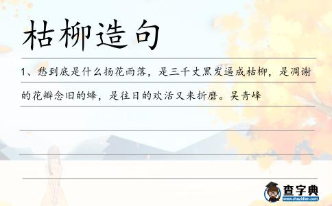 枯柳造句