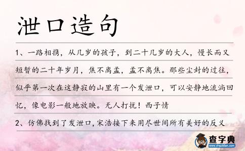 泄口造句