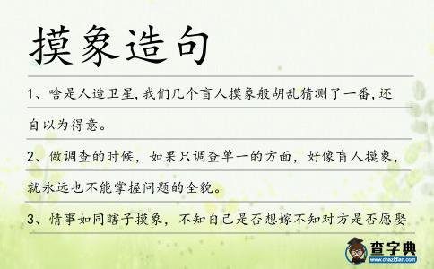 摸象造句