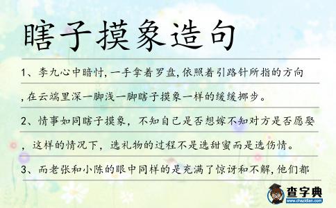 瞎子摸象造句