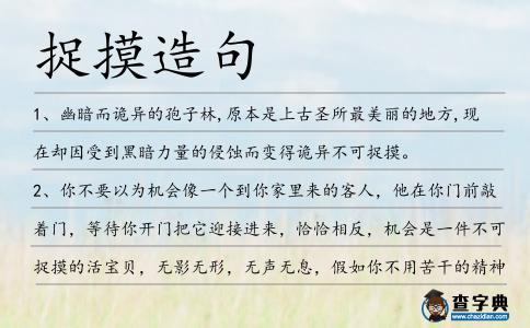 捉摸造句