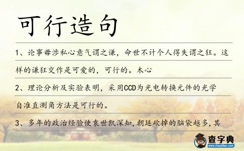 可行造句
