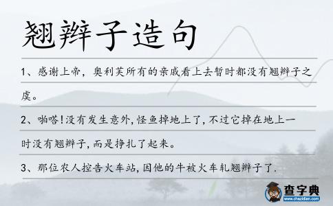 翹辮子造句