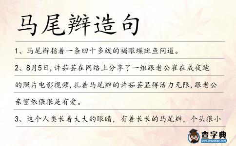 馬尾辮造句