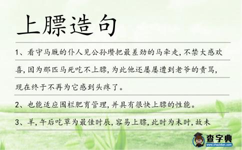 上膘造句