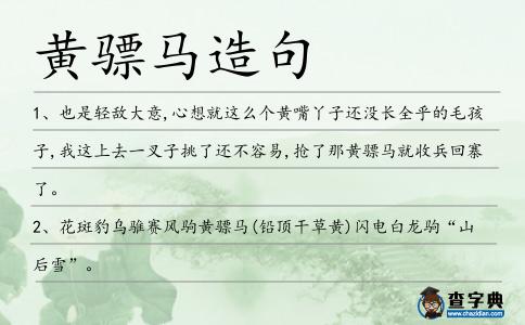 黃驃馬造句