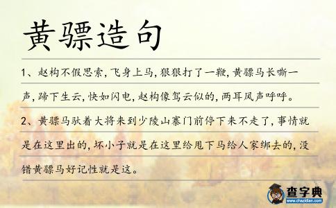 黃驃造句