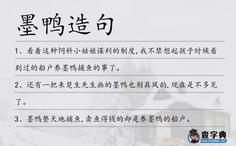 墨鴨造句