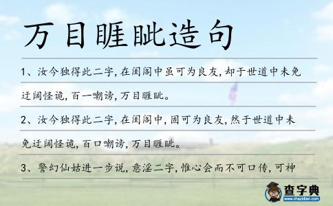 萬目睚眥造句