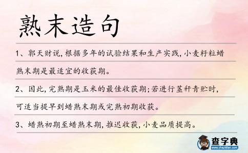 熟末造句