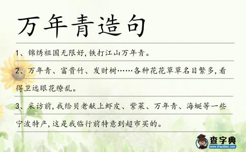 萬年青造句