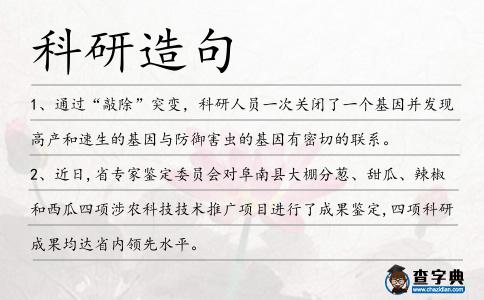 科研造句