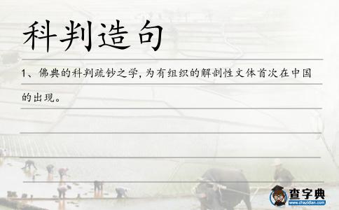 科判造句