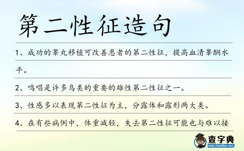 第二性征造句