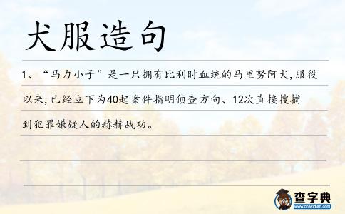 犬服造句