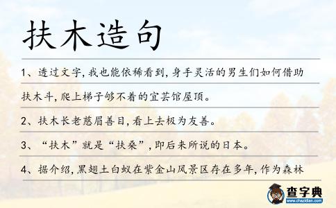 扶木造句