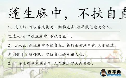 蓬生麻中,不扶自直造句