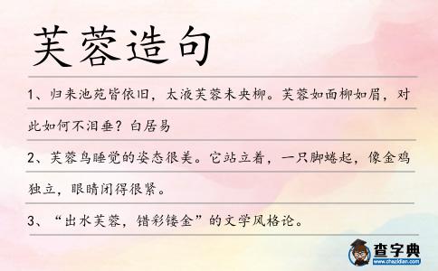 芙蓉造句