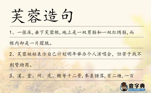 芙蓉造句