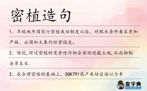 密植造句