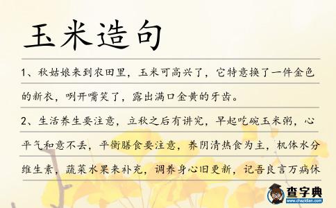 玉米造句