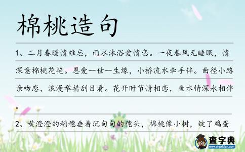棉桃造句