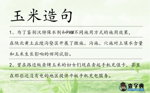 玉米造句