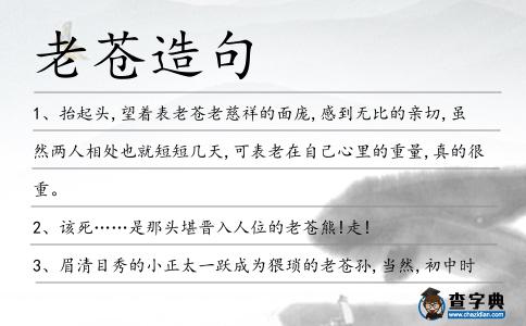 老蒼造句