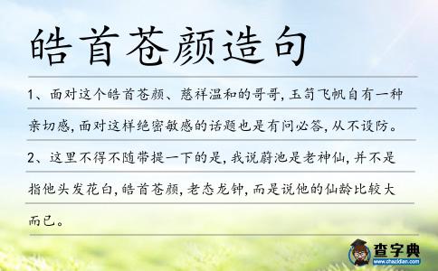 皓首蒼顏造句
