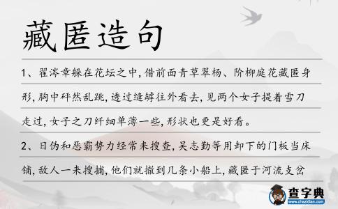 藏匿造句