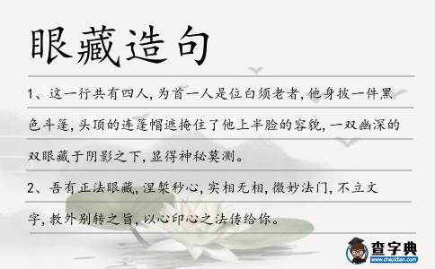 眼藏造句