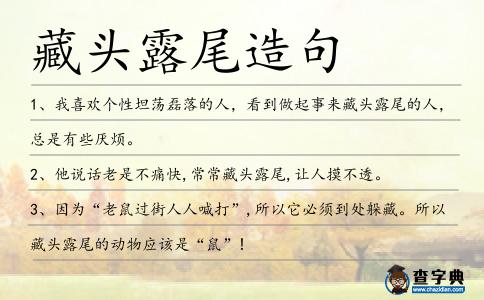 藏頭露尾造句