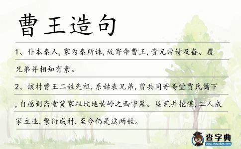 曹王造句