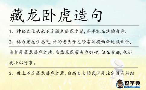 藏龍臥虎造句