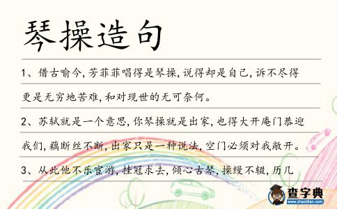 琴操造句