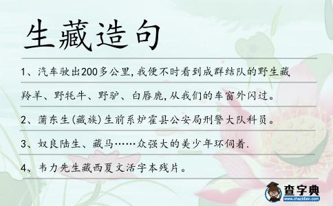 生藏造句