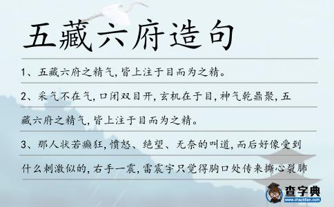 五藏六府造句