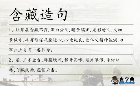 含藏造句